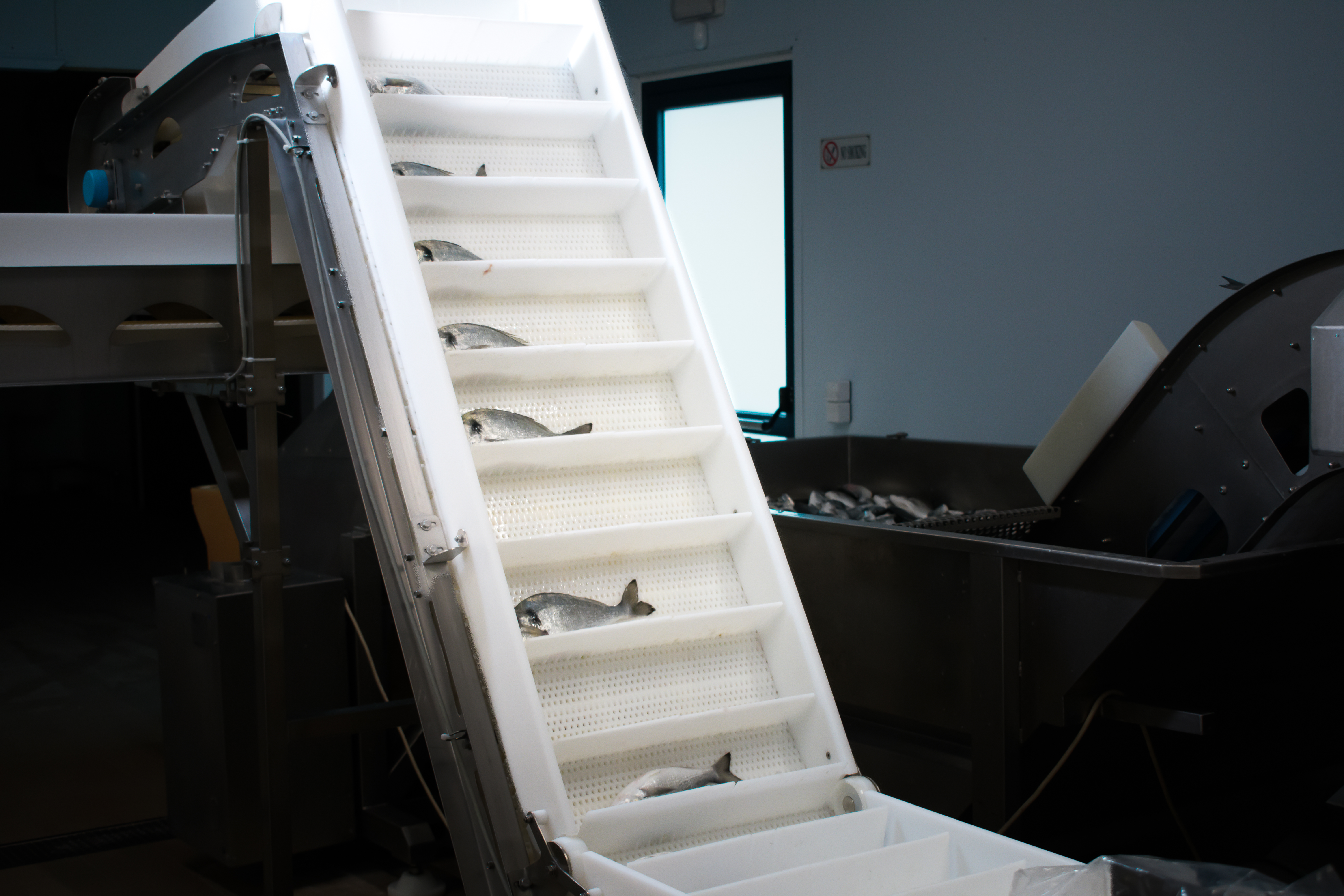 a:1:{s:2:"en";s:27:"Post-Harvesting Value Chain";}