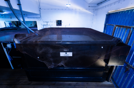 a:1:{s:2:"en";s:3:"RAS";}