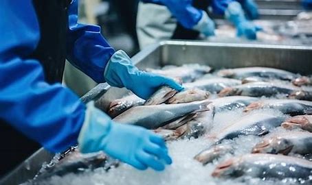 a:1:{s:2:"en";s:42:"Valorisation of the processing by-products";}